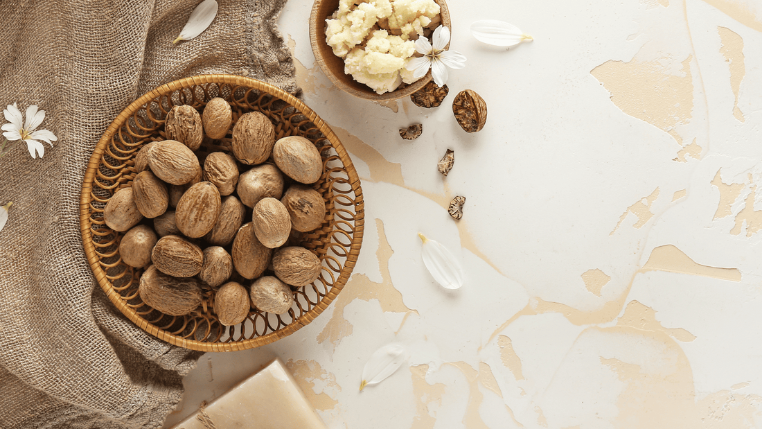 secrets of uganda nilotica shea butter