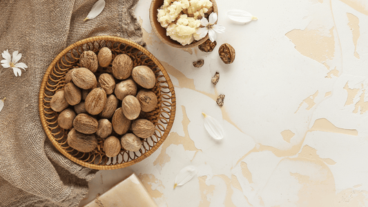 secrets of uganda nilotica shea butter
