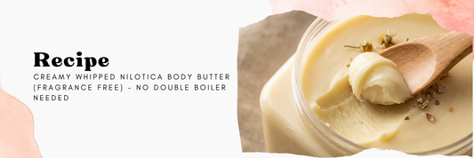 Creamy Whipped Nilotica Body Butter (Fragrance Free) - No Double Boiler Needed