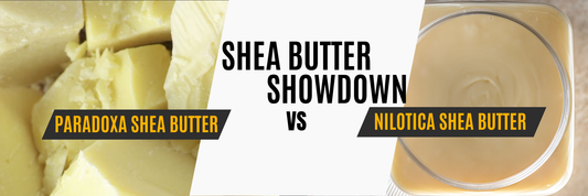 Why Nilotica Shea Butter Is So Much Better Than Regular Shea Butter for DIY Projects