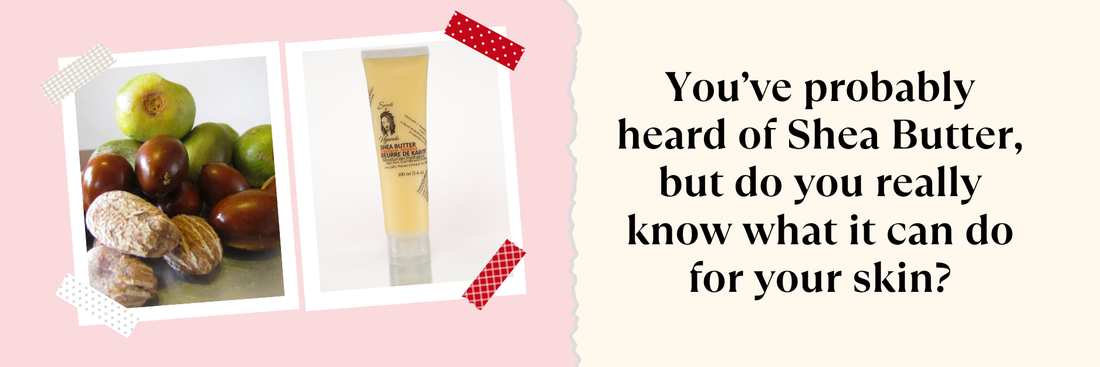 What is Shea Butter?